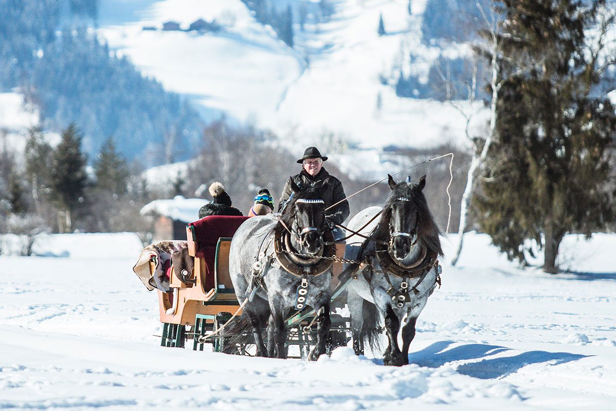 Pferdeschlittenfahrten - Winterurlaub in Radstadt, Ski amadé